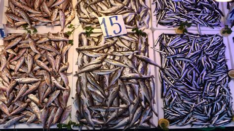 T­r­a­b­z­o­n­’­d­a­ ­b­a­l­ı­k­ ­b­o­l­l­u­ğ­u­
